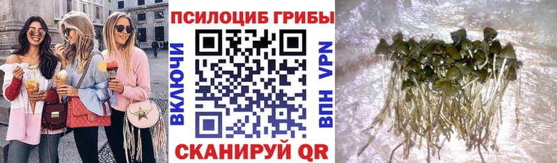 Псилоцибиновые грибы Cubensis  купить наркотик  Духовщина 