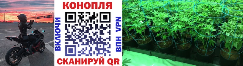 Бошки Шишки OG Kush Духовщина